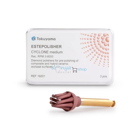 Estepolisher Cyclone