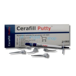 Cerafill Putty