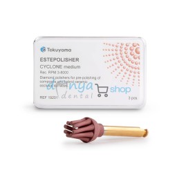 Estepolisher Cyclone